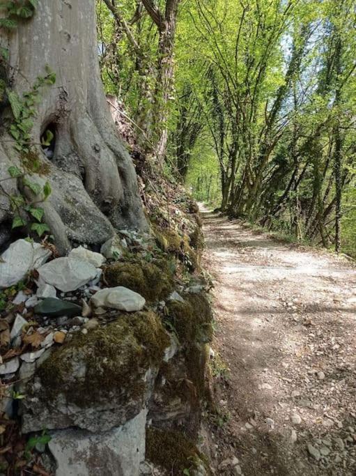 Casa Nella Natura Il Risveglio Degli Elfi Pedavena Ngoại thất bức ảnh